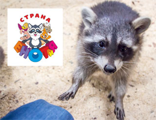 Kiev Petting Zoo Country of Raccoons opened in Art Mall