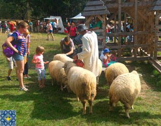 Tustan Festival in Urych | Flock of sheep with a shepherd