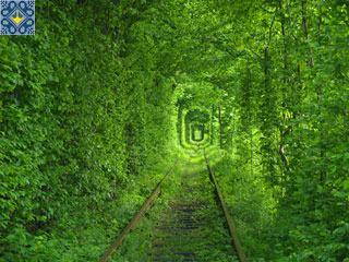 Tunnel of Love was visited by Johan, Norway | Tunnel of Love