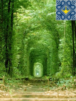 Romantic Tunnel of Love - Klevan, Ukraine