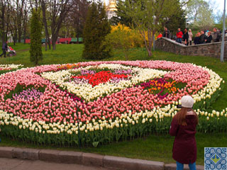 Kiev Tulip Festival at Spivoche Pole | Tulip Composition