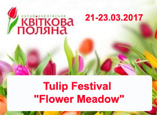 Tulip Festival Flower Meadow | On 21-23.03.2017 in Kiev