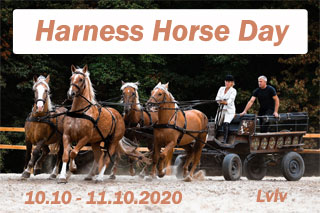 Harness Horse Day | On 10.10 - 11.10.2020 in Lviv Karetnyy Dvir