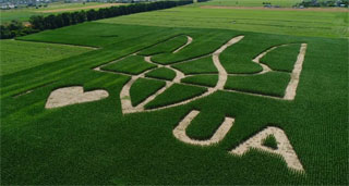 Giant Ukrainian Coat of Arms created by Maize Plants near Kyiv