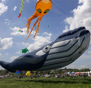Tryhutty Ultra Kite Festival | On 21.08 - 22.08.2021 near Mykolaiv