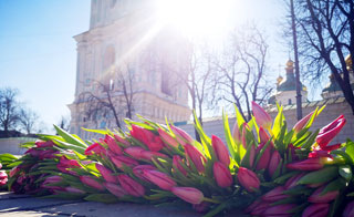 Million Tulips for Peace in Ukraine place in shape of trident in Kyiv