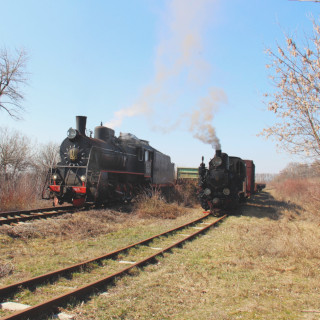 Haivoron Steam Locomotive Train Tour will be held on 21.03.2026
