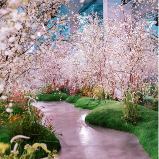 Ukraine WoW That Day Exhibition will be held on 24.08 - 04.10.2026 in Kyiv - Taras Shevchenko cherry orchard