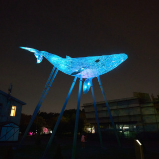 Kyiv Whale Eco Sculpture will light up again on 19.02.2026 in Kyiv VDNG