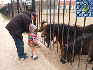 Kiev Hippotherapy Tour | Children spend time with horses and ponies