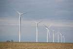 Botievo Sights | Wind Farm | 65 Wind Turbines