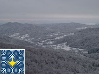 Beautiful view of beech forests of Uholka and Tisza river valley | Carpathian Biospere Reserve