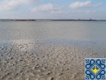 Dnipropetrovsk Sights | Solonyi Lyman Lake | Healing Mud and Mineral Water